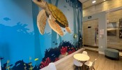 Apartamento 03 sutes em Meia Praia Itapema , SC 